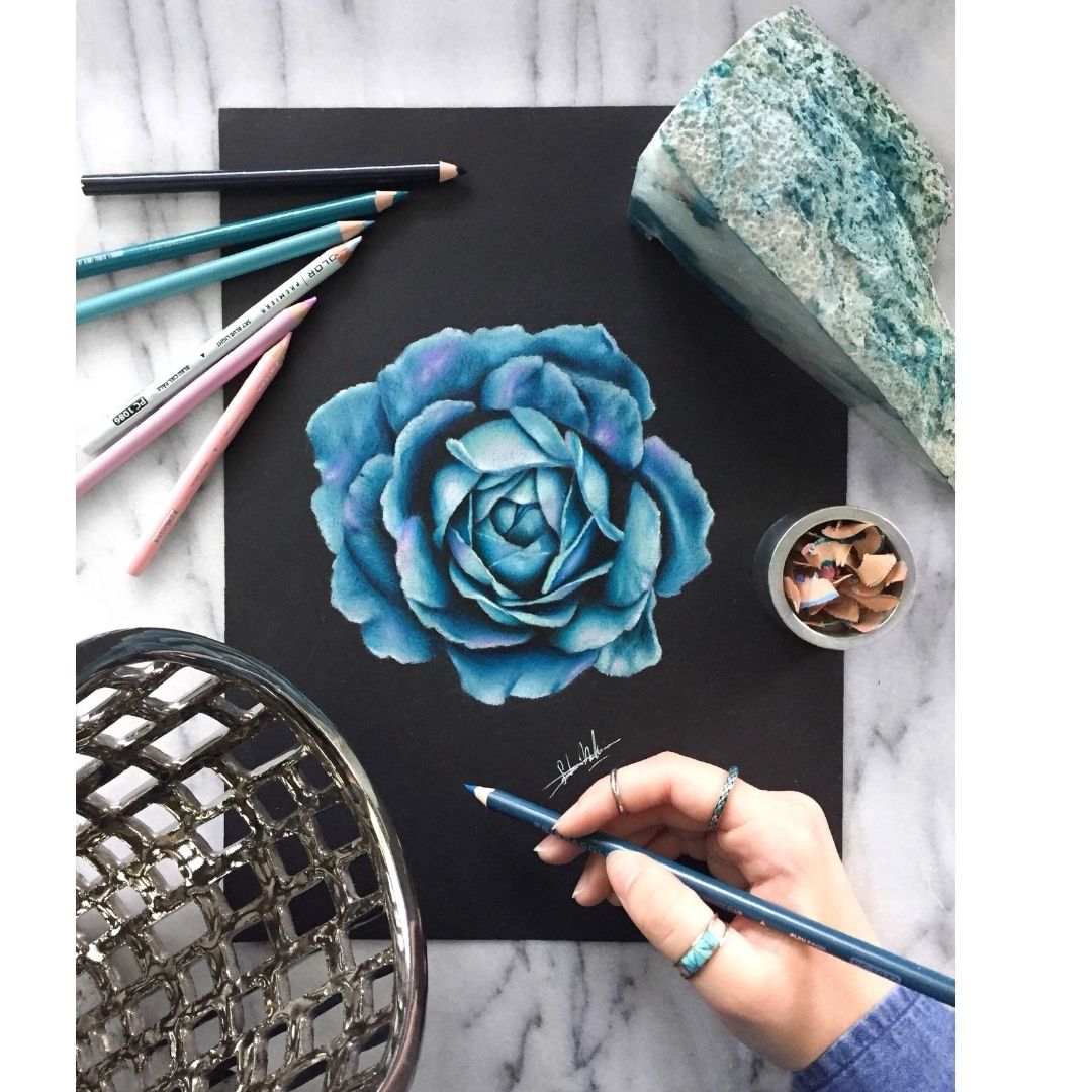 8.5 in Paper Essentials Black / Papel Negro 8.5 pulg Papel Essentials