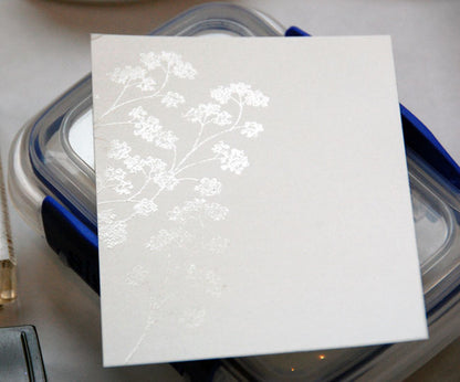 Clear Embossing Powder / Polvos de Realce Transparente Polvos de Embossing Ranger