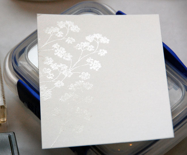 Detail Clear Embossing Powder / Polvo de Realce Transparente Descontinuado Stampendous
