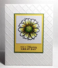 Picnic Quilt Embossing Folders / Folder de Embossing Pic-nic Descontinuado LDRS Creative