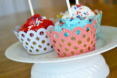Ring Cupcake Liner Die / Suaje de Corte de Cubre Cupcake Descontinuado LifeStyle Crafts