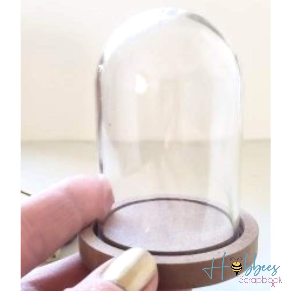 DIY Clear Plastic Dome With Wood Base / Cúpula de Plástico con Base de Madera Adornos / Embellishments Multicraft Imports