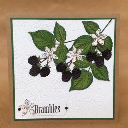 Brambles Die / Suaje de Moras Descontinuado Sheena Douglass