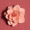 Flower Die Cuties 2 / Suaje de Corte de Flor