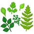 Foliage Dies and Emboss / Suaje y Realce Follaje Descontinuado Spellbinders