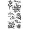 Sellos de Polímero Flores  / Floral Expressions 60-30057