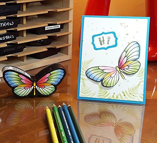 Butterfly Stretch Rubber Stamp / Sello de Goma Mariposa Sellos Stampendous