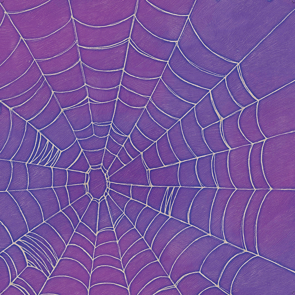 Halloween Spider Web Glitter Paper / Hoja de Cartulina Telaraña
